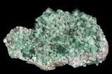 Fluorite Crystal Cluster - Rogerley Mine #99452-1